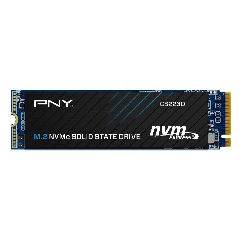 PNY CS2230 500GO