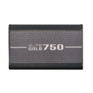 COOLER MASTER ELITE GOLD 750 FM – 80+ GOLD / 750 Watts