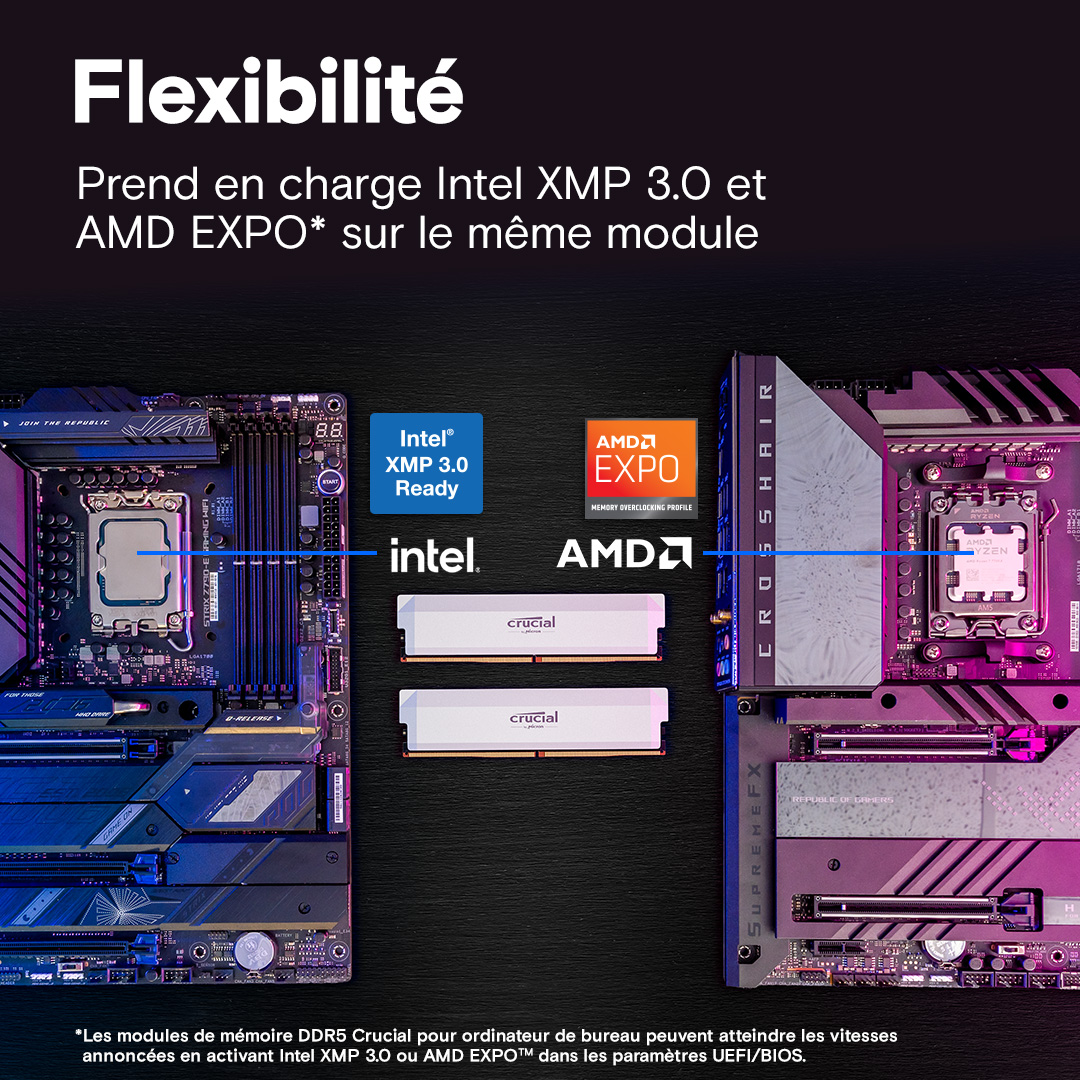 16 Go DDR5 CRUCIAL PRO 6400 – Image 4