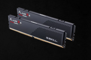 16 Go DDR5 G.SKILL 6000