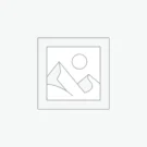 Image indicative